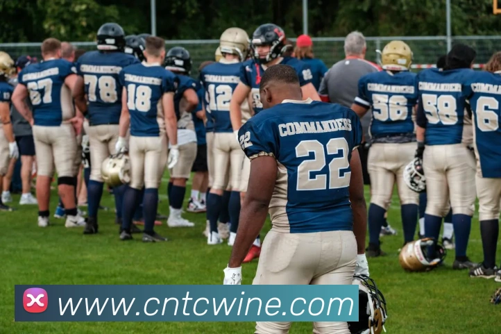 星空网页版官方入口平台生态图