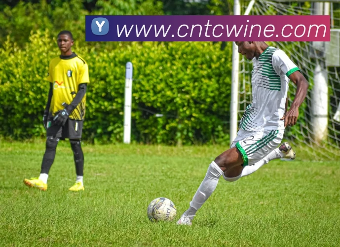 星空网页版官方入口全站App